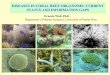 DISEASES IN CORAL REEF ORGANISMS: CURRENT STATUS … 1 PDF/13-Ernesto Weil.pdfthe Caribbean (Caribbean has only 8 % of coral reef area). • 42 zooxanthellate coral species affected