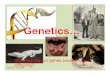 Genetics PowerPoint Part 1 - Mr. Hall's Site · 2018. 2. 6. · ( } Á o v } µ D v o [ Æ ] u v U o [ À ] Á Z ] } ( Æ µ o } µ ] } v ] v ( o } Á ] v P o v X)ORZHUV FRQWDLQ ERWK