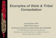Examples of State & Tribal Consultation · –Continuous consultation and collaboration with tribes. –Utilization of an Alaska workgroup. –Alaska Tribal Health System provided