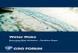 Typ hier de titel' … · The Emerging Risks Initiative (ERI) of the Chief Risk Officer (CRO) Forum . has aimed at synthesizing in this publication what water risks represent for