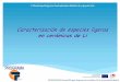 Presentación de PowerPoint - COnnecting REpositories · 2018. 2. 11. · RNR 2» Programa TechnoFusión. Madrid, 18 y 19 junio 2012 ° Workshop Prog * La caracterización de especies