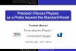 Precision Flavour Physics as a Probe beyond the Standard Model · Precision Flavour Physics as a Probe beyond the Standard Model Thomas Mannel Theoretische Physik I Universität Siegen