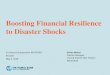 Boosting Financial Resilience to Disaster Shocks · Supports the development of risk financing strategies at regional, national and local levels, improves financial response capacity