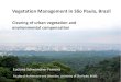 Vegetation Management in São Paulo, Brazil · Luciana Schwandner Ferreira Faculty of Architecture and Urbanism, University of São Paulo, Brazil. Density and type of leaves Size