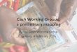 Cash Working Groups: a preliminary mapping ... country-based CWGs in their regions, and sharing best