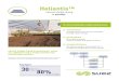 Heliantis™ - Home SUEZ's degremont® water handbook€¦ · plants are centralised. This type of application requires a good knowledge of the incoming sludge quality in order to