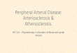 Peripheral Arterial Disease: Arteriosclerosis & Atherosclerosis. · Peripheral arterial disease •The ischaemia that occur in the lower limb can be classified as functional or critical