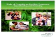 Risks of Cannabis on Fertility, Pregnancy, Breastfeeding ... · Effects on breastfeeding: When a breastfeeding mother uses cannabis, THC passes into the breast milk and is taken into