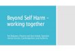 Beyond Self Harm –working together · • ‘Primary care physicians don’t sufficiently explore suicide intent’ (. Feldman 2007 ). • Latest Health Dept advice –safety planning