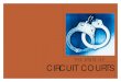 CIRCUIT COURTS - ODU · 2015. 11. 7. · Circuit Courts Within the Judicial System of Virginia Circuit Courts in Virginia have two functions. They: (1) act as appeals courts that