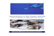 Spearfishing in the Pacific Islandscoastfish.spc.int/Reports/HOF5/HOF5-spearfishing-web.pdf · spearfishing, industrial spearfishing, negative interaction with line fishing, poaching