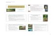 Natural(Wild) ga o0d Natural Habitat an nage enta d Silvic ... Prihadi.pdf · - Exporting from the wild + Indonesia, Malaysia, PNG and Lao PDR. Phytogeographycally - Genus Aquilaria