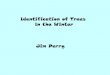 Identification of Trees in the Winter Jim Perry€¦ · Identification of Trees. in the Winter. Jim Perry. Identification of Trees. in the Winter. Lecture 1. 1. Major Classification