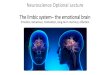 Neuroscience Optional Lecture The limbic system– … Optional...Neuroscience Optional Lecture The limbic system–the emotional brain Emotion, behaviour, motivation, long-term memory,