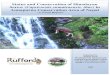 Status and Conservation of Himalayan Serow (Capricornis ... Detailed Final Report.pdf · Team Leader The Biodiversity Research and Training Forum (BRTF), Nepal P.O.Box-299, Pokhara,