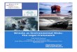 Wrecks as Environmental Risks: The Legal Frameworkof the 1967 Torrey Canyon incident and the 1969 Intervention Convention. The question is how the exceptional measures expected under