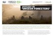 SPOTLIGHT ON ‘UNSEEN FORESTERS’...forest management by local communities, looks at the world from the point of view of the forest managers amongst indigenous peoples and local