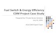 Fuel Switch/Energy Saving CDM Project - Climate Change programme for... · Energy Efficiency Project The category energy efficiency includes all measures aiming to enhance the energy