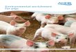 Environmental enrichment for pigs - Microsoft · This guide aims to give practical advice to pig farmers surrounding the complex issue of providing suitable environmental enrichment