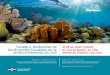 Estado y Tendencias de Status and Trends los Arrecifes ... · Coral and Algae, as two of the main drivers of reef health 28 Herbivorous Fish and Urchins, the lawnmowers of the oceans