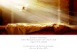 Easter Sunday The Resurrection of the Lord April 12, 2020 ... · Easter Sunday The Resurrection of the Lord April 12, 2020 Cathedral of Saint Joseph ... On the first day of the week,