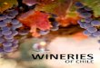 WINERIES - Latitud 90€¦ · Latitud 90 is proud to present the amazing world of Chilean wines, their history and traditions and become a true connoisseur with the company of our