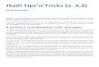 JSaill Tips’n’Tricks (v. 3.2) · JSaill Tips’n’Tricks (v. 3.2) by Eduard Rodes JSail is a fantastic tool that allows not only sailing higher than the other Optimist sails