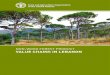NON-WOOD FOREST PRODUCT VALUE CHAINS IN LEBANON · BEIRUT, 2016 NON-WOOD FOREST PRODUCT VALUE CHAINS IN LEBANON Kanj HAMADE FAO Supervising Officer: Abdel Hamied Hamid Senior Forestry