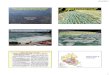 PowerPoint Presentation - Kegonsakegonsa.org/myhtml/pics.pdfMap: Dane Co. LWR Dept. Mendota Mendota Drainage Basin Land Use Total Area = 553 km2 59.7% 22.9% 12.0% 5.4% Agriculture