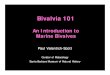 Bivalvia 101 May 2008.ppt - SCAMIT · Microsoft PowerPoint - Bivalvia 101 May 2008.ppt [Compatibility Mode] Author: PSCOTT Created Date: 5/13/2008 3:50:11 PM 