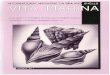 INTERNATIONAL MAGAZINE ON SEA AND SHELLS VITA MARIBH · INTERNATIONAL MAGAZINE ON SEA AND VOLUME 42 NO. 1 ON THE IDENTITY OF STROMBUS DECORUS AND STROMBUS PERSICUS A REVISION OF THE