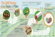 Infographic GMOs Farm to Plate v12 042617 - GMO Answers · GMOs go through rigorous review. On average, GMOs take 13 years and $130M of research and development before coming to market