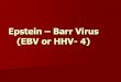 Epstein Barr Virus (EBV or HHV- 4) · Epstein-Barr Virus: History In 1920, Sprunt and Evans –published cases of spontaneously resolving acute leukemia associated with blast-like