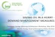 SAVING OIL IN A HURRY - DEMAND MANAGEMENT MEASURES · •Maintain program of oil demand restraint measures to ... Increased oil use in transportation (60%) & expected to rise 