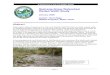 Quilcene-Snow Watershed Wetted Width Study · any flow. Root wads and other log debris may cause difficulty in assessing habitat-flow relationships, but are an important element of