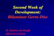 Second Week of Development: Bilaminar Germ Disc · menstruation. DA Y 13 1-Primary villi formation . DA Y 13 The hypoblast will ... CLINICAL CORRELATES ... (RIA) which serve as the