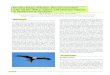 Breeding biology, behaviour, diet and conservation of the red kite kite...آ  2011. 5. 20.آ  Red kite
