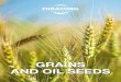 GRAINS AND OIL SEEDS and oil seeds Eng.pdfRAPE SEEDS: Rapeseed is the most important source of cheap vegetable oil and high–protein feed. It contains 40–44% of oil, 18–22% of