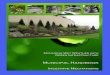 Municipal Handbook: Incentive Mechanisms · Awards and recognition programs highlight successful examples of green infrastructure in a ... include projects or plans that focus on