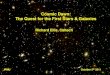 Cosmic Dawn: The Quest for the First Stars & Galaxiesresearch.ipmu.jp/seminar/sysimg/seminar/516.pdf · 2011. 10. 5. · Cosmic Dawn: The First Stars • Early protostars can cool