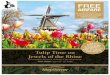 OURS AND WEBER THE THE RHINE RIVER CRUISE Jewels of …...Keukenhof Gardens. Discover why it’s called the “garden of Europe” as you admire gorgeous flowers at the peak of tulip