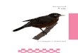 Turdus migratorius American Robin Male - …...2019/03/04  · Turdus migratorius American Robin Nest Fun Fact: Robins’ nests are lined with mud, making them heavy and strong Haliaeetus