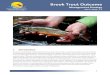Brook Trout Outcome - Chesapeake Bay Program · Brook Trout symbolize healthy waters because they rely on clean, cold stream habitat and are sensitive to rising stream temperatures,