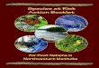 M P For First Nations in Northwestern Manitoba · 2018. 11. 16. · Species at Risk Action Booklet for First Nations in Northwestern Manitoba 3 Lake Sturgeon Life Cycle: Why are Lake