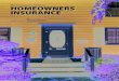 The Consumer’s Guide to HOMEOWNERS INSURANCE · 2015. 11. 17. · - 3 - The Consumer’s Guide to Homeowners Insurance Whether you are a first-time home buyer, a veteran of many