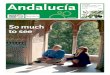 Andalucía - Sur in Englishservices.surinenglish.com/wtm/docs/WTM-2008-JUNTA.pdf · IV ANDALUCÍÍA NOVEMBER 2008 SUR IN ENGLISH SUR IN ENGLISH NOVEMBER 2008 ANDALUCÍAÍWORLD TRAVEL