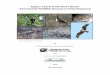 Upper Clark Fork River Basin Draft Terrestrial Wildlife Resource … · 2018. 6. 6. · 1 Introduction The Montana Fish, Wildlife & Parks (FWP), in consultation with the Natural Resource