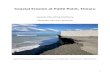 Coastal Erosion at Patiti Point, Timaru€¦ · Coastal Erosion at Patiti Point, Timaru University of Canterbury GEOG309: Research Methods Jacob Crosswell, Sarah Pahlen, Hannah van