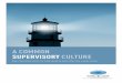A COMMON SUPERVISORY CULTURE - EIOPA€¦ · common understanding of supervisory objectives and a common view on the key characteristics of high-quality and effective supervision