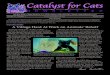 Catalyst for Cats · 1 NEWSLETTER PO Box 30331 • Santa Barbara, CA 93130 • Phone: (805) 685-1563 • Email: catalyst4cats@cox.net A Non-Profit Organization Dedicated to Altering